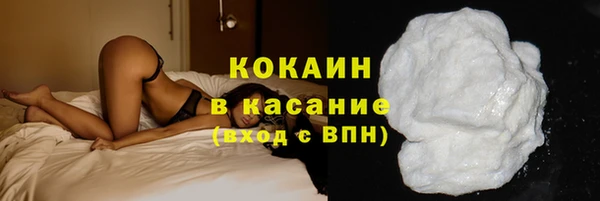 шишки Вяземский