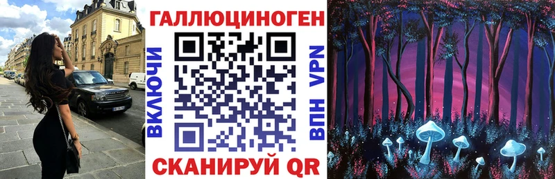 Галлюциногенные грибы Cubensis  Звенигород 